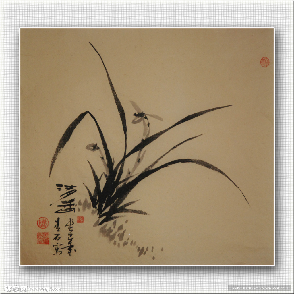 青石 国画 兰花