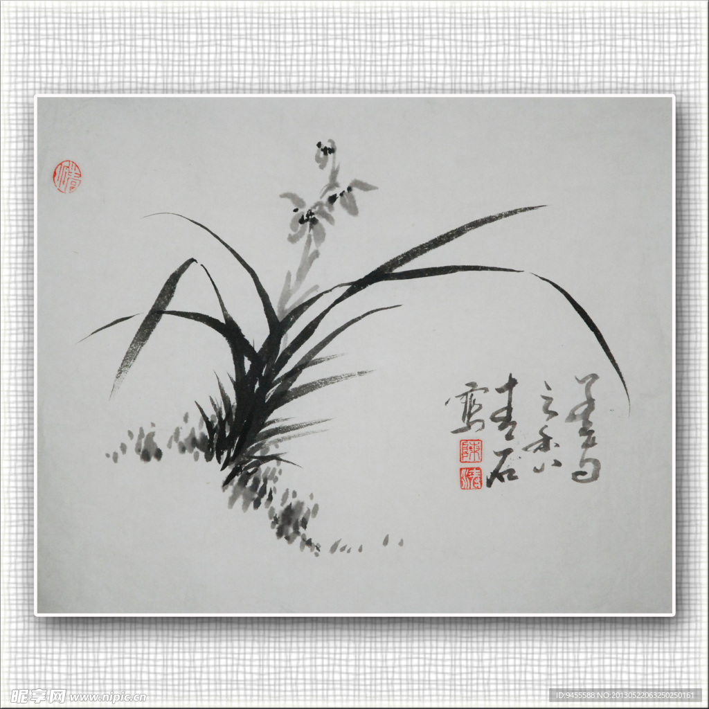 青石 国画 兰花
