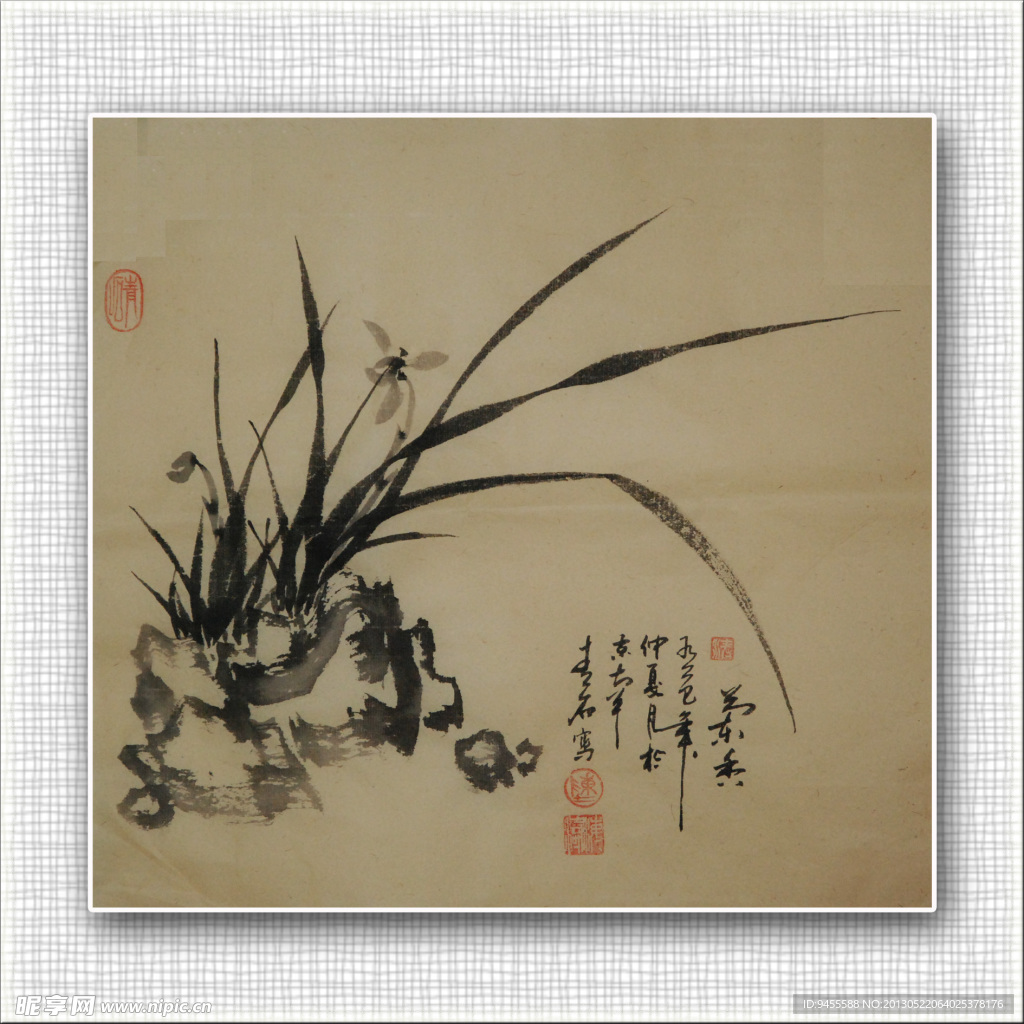 青石 国画 兰花