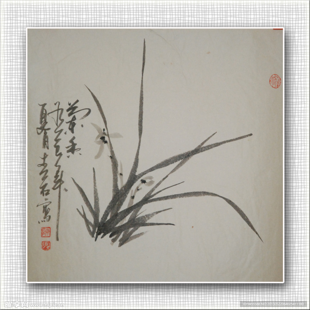 青石 国画 兰花