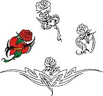 玫瑰花