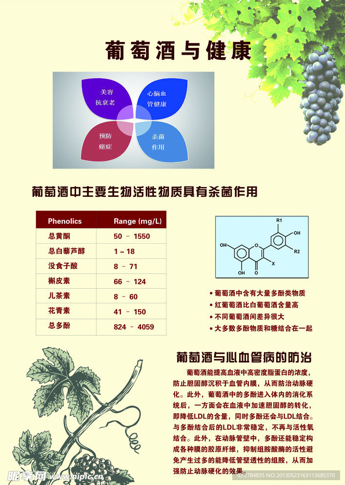 葡萄酒展板