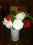 茶花