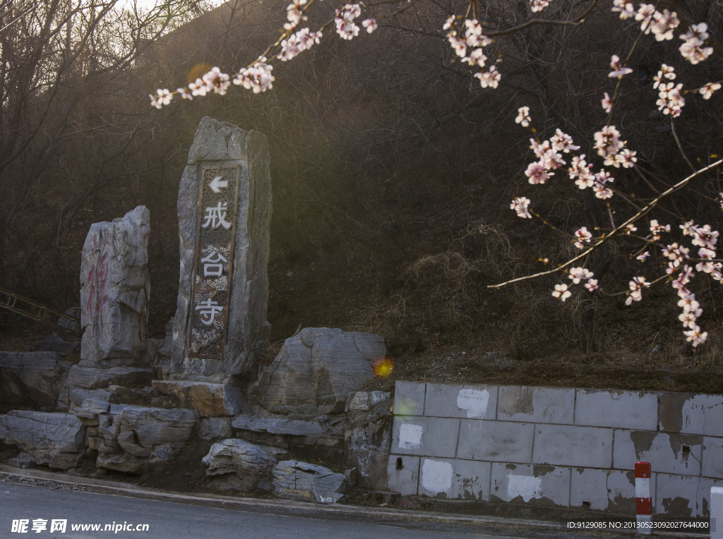 戒台寺