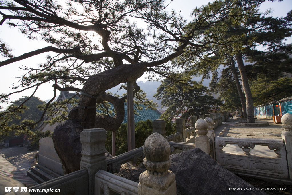 戒台寺