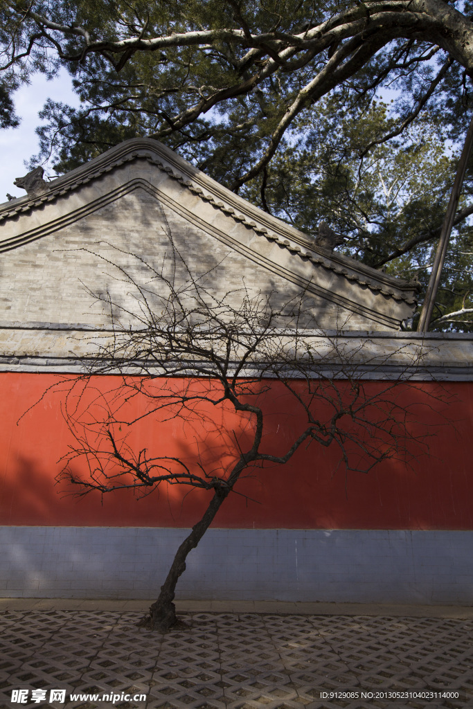 戒台寺