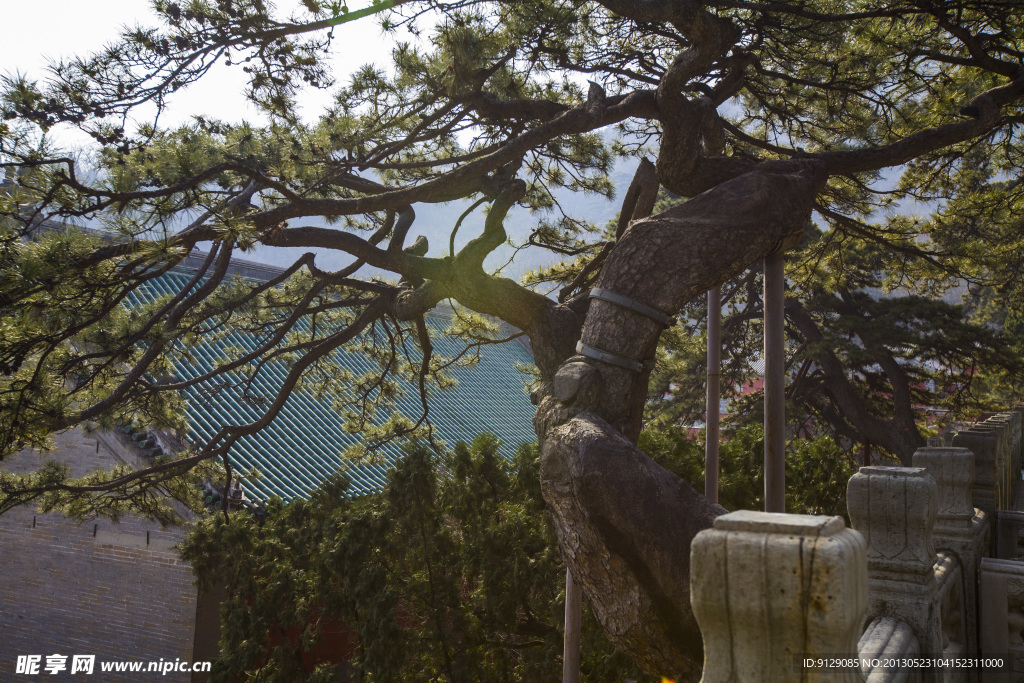 戒台寺