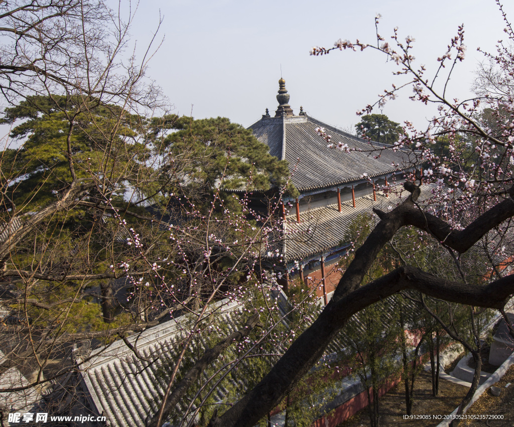 戒台寺