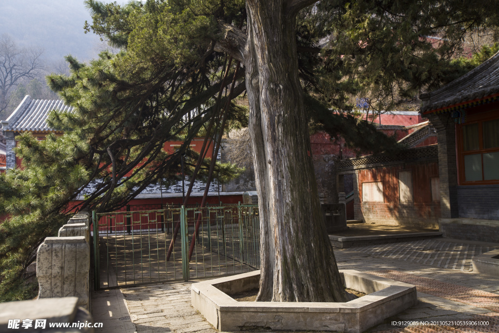 戒台寺