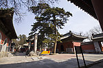 戒台寺