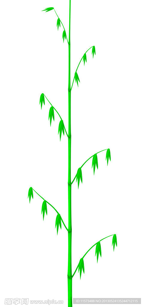 竹子