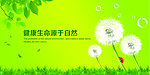 绿色 环保 展板
