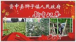 贺卡