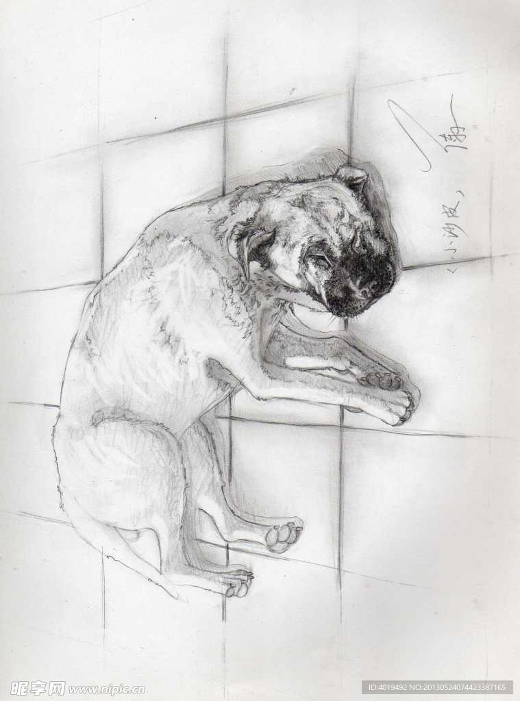 素描 狗