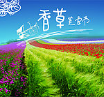 香草美食节海报