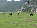 高原