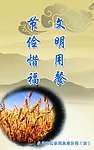节约粮食标语