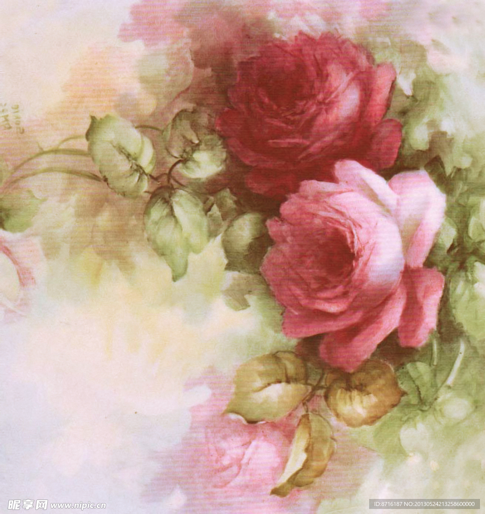 玫瑰花