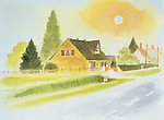 插画 田野