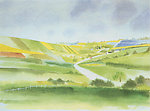 插画 田野