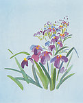 插画 鲜花