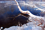 不冻河雪景