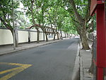 林荫马路