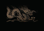 铜 龙纹