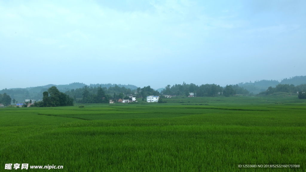 美丽乡村
