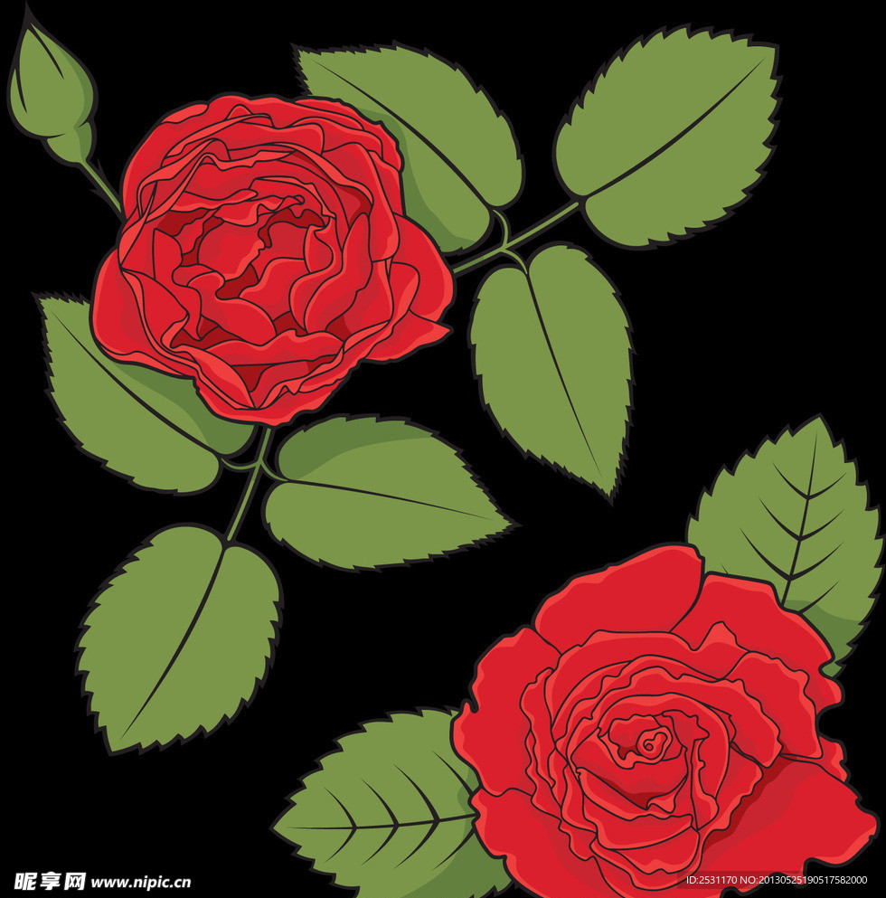 矢量玫瑰花