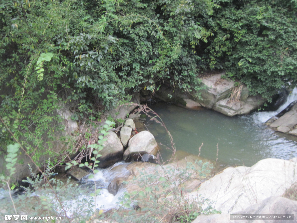 小河花草树