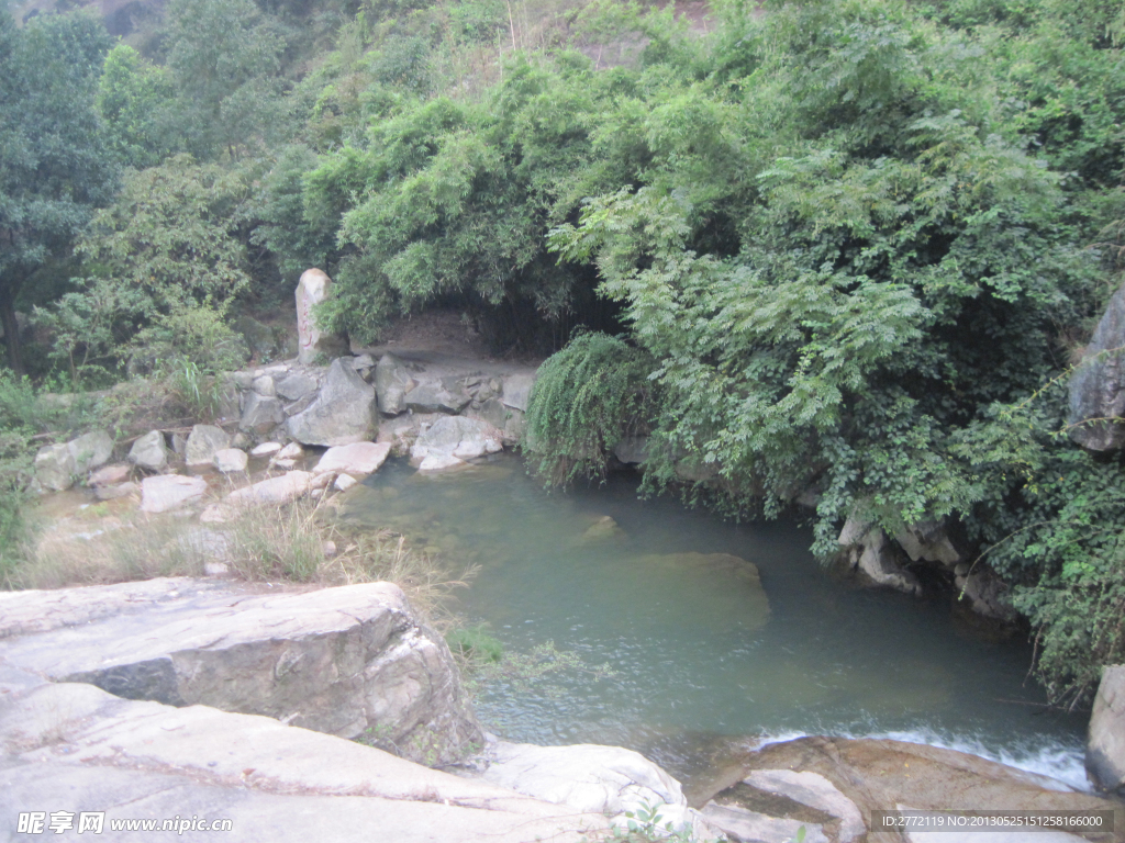 河边花树