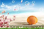 清凉夏威夷沙滩