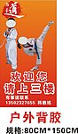 跆拳道欢迎你展板