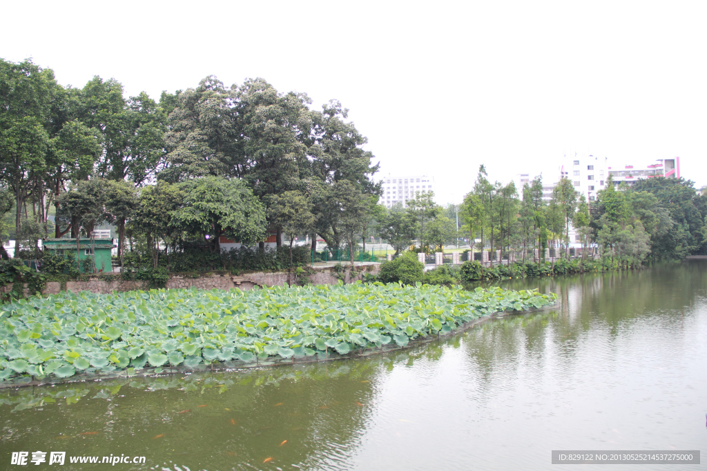 中山公园一角
