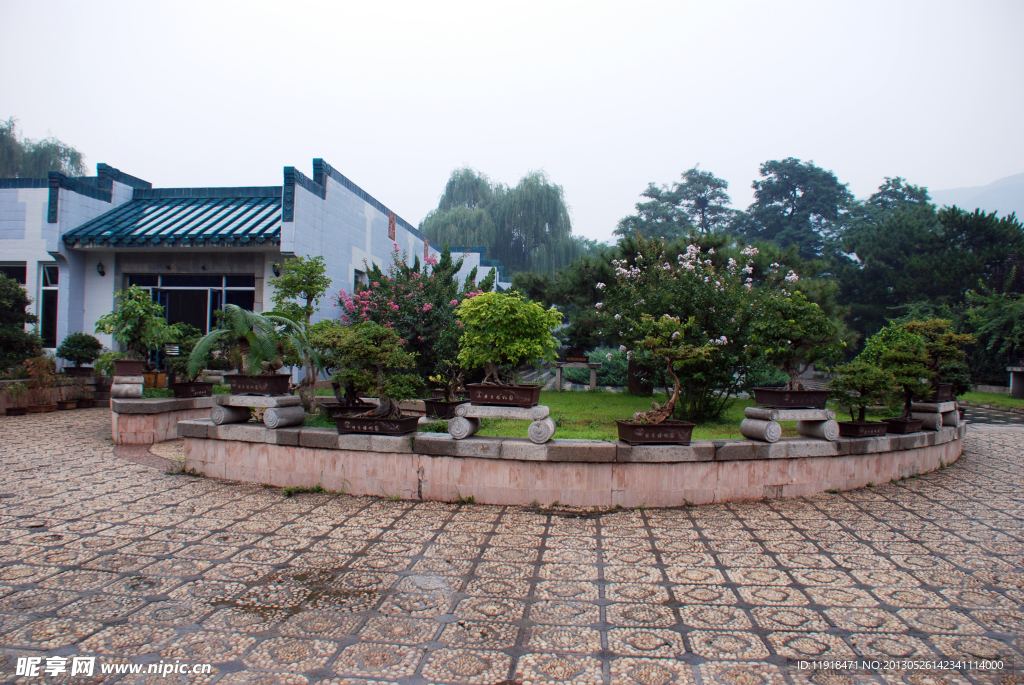 北京植物园风景