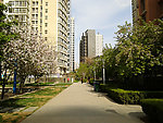 小区