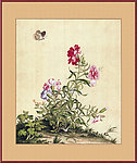 鲜花工笔画