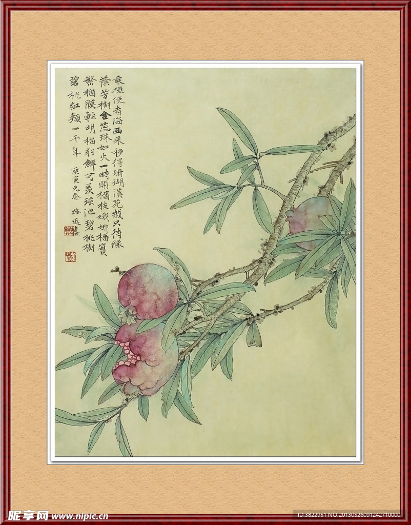 石榴成熟工笔画