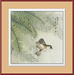 飞鸟工笔画