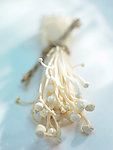 金针菇
