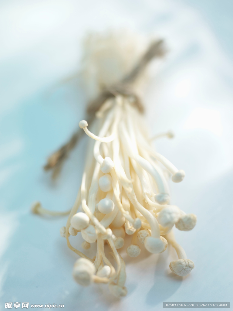 金针菇