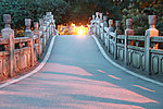 中山公园夜景