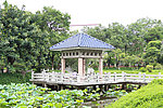 雷岗公园一角