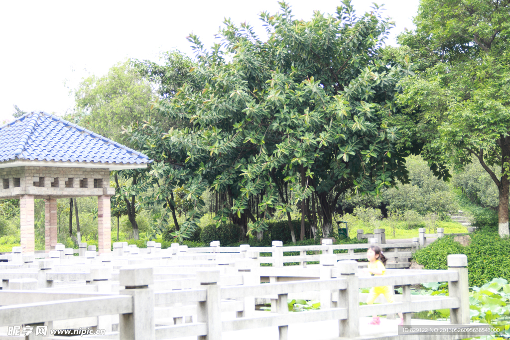 雷岗公园一角