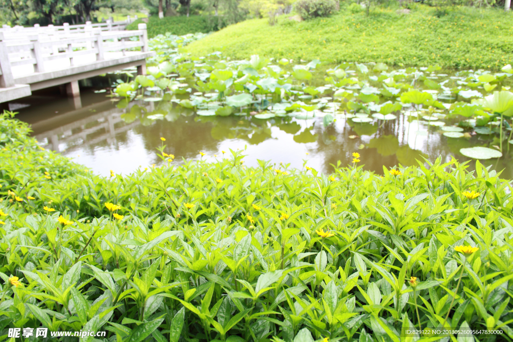 雷岗公园一角