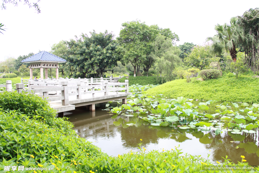 雷岗公园一