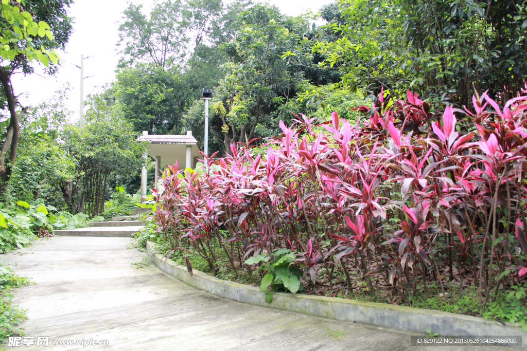 雷岗公园一角