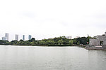 湖面景观