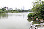 雷岗公园一角